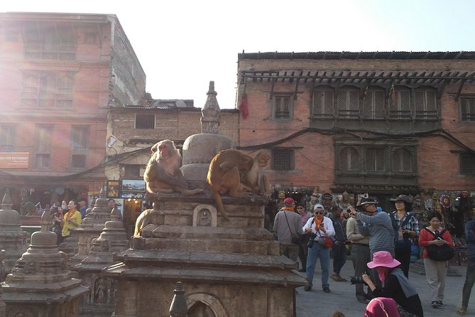 Seven UNESCO World Heritage Sites Day Tour of Kathmandu Velley - Patan Durbar Square