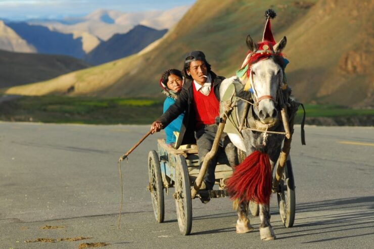 Seven World Heritage Day Tour- Private Kathmandu Sightseeing - Tour Highlights