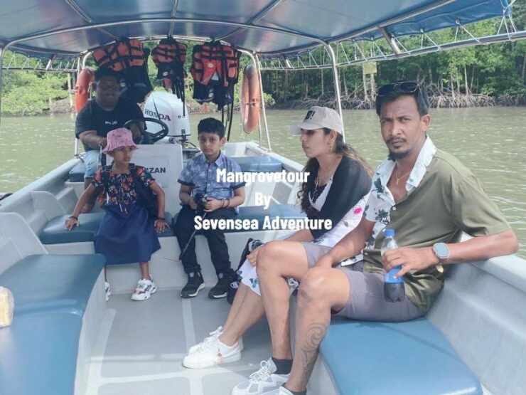 Sevensea Mangrove Tour Best Mangrove in Langkawi - Experience and Activities