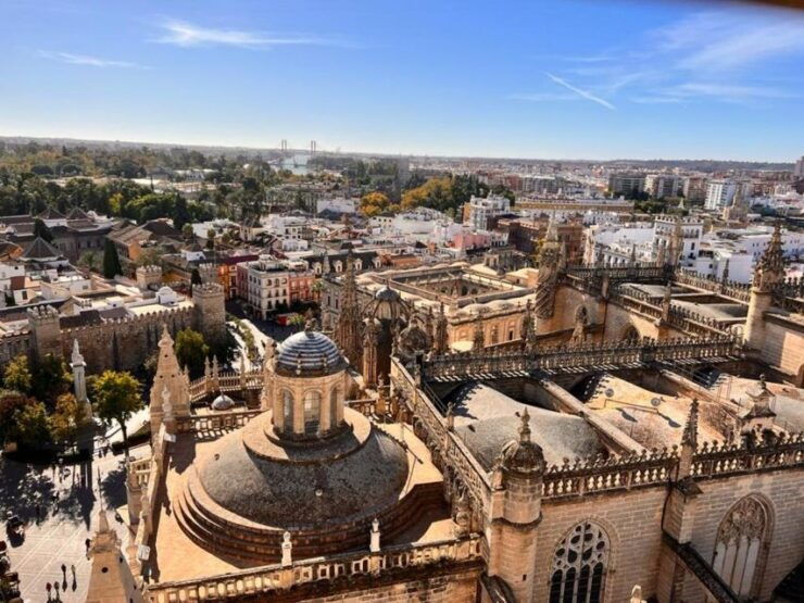 Sevilla: Alcazar and Cathedral Private Tour - Experience Insights