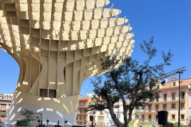 Sevilla: Dutch Walkingtour to Discover Seville - Good To Know
