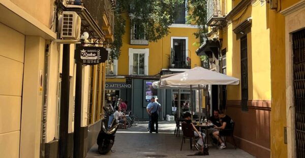 Sevilla: Dutch Walkingtour to Discover Seville - Local Guidance