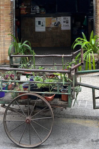 Sevilla: Dutch Walkingtour to Discover Seville - Combining Experiences