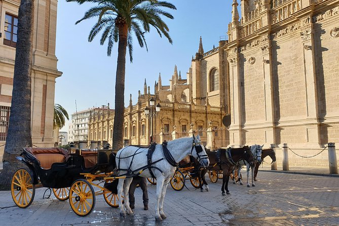 Sevilla Food Tour: Tapas, Wine, History & Traditions - The Sum Up