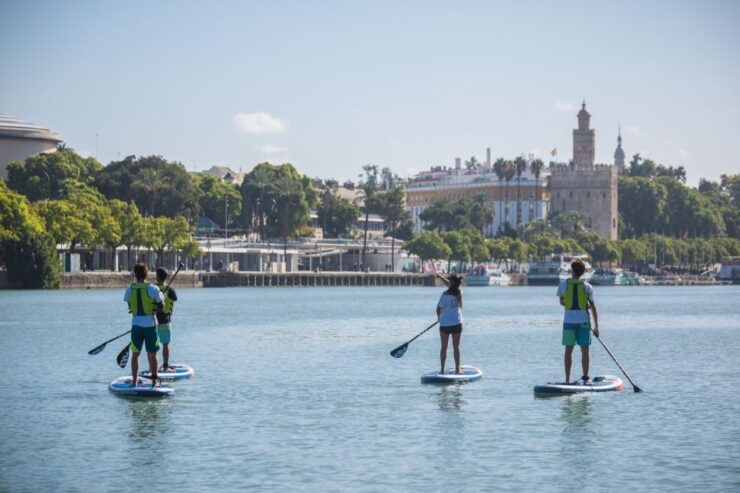 Sevilla: Guadalquivir River Paddle Boarding Trip - Activity Details