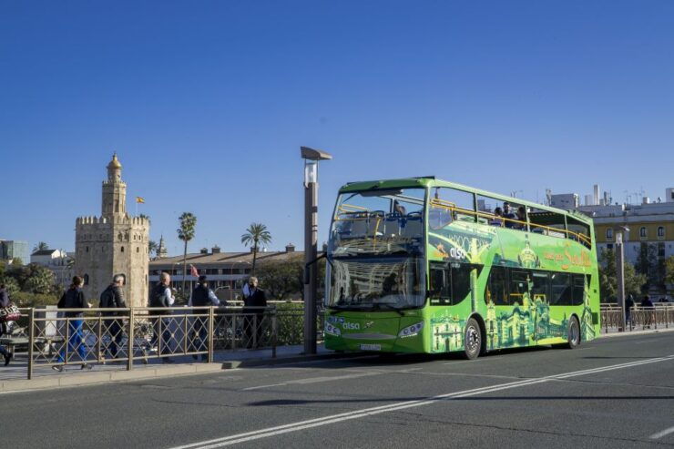 Sevilla: Hop-On Hop-Off & Walking Tours, Cruise & Flamenco - Good To Know