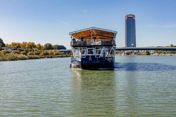Sevilla: Hop-On Hop-Off & Walking Tours, Cruise & Flamenco - The Sum Up
