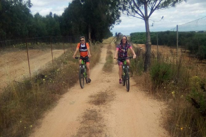 Sevilla Mountain Bike Tour Dehesa De Abajo Doñana - Lunch