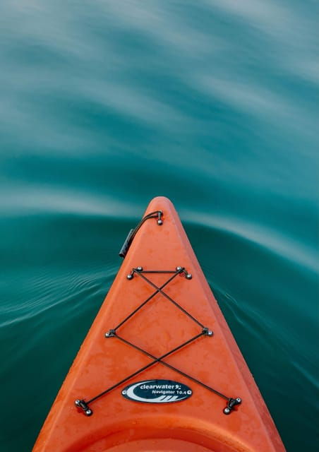 Seville: 1.5 Hour Kayak Excursion - Itinerary and Highlights
