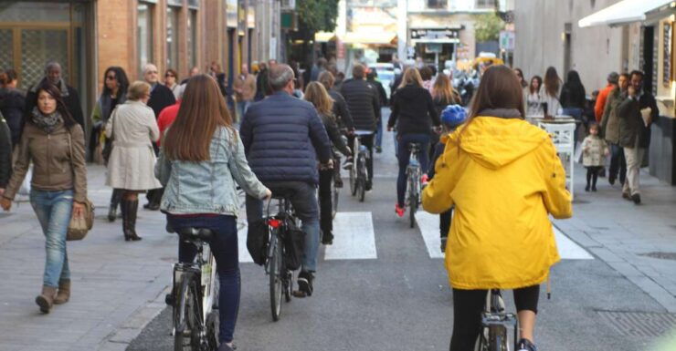 Seville: 1-Day Bike Rental - Good To Know