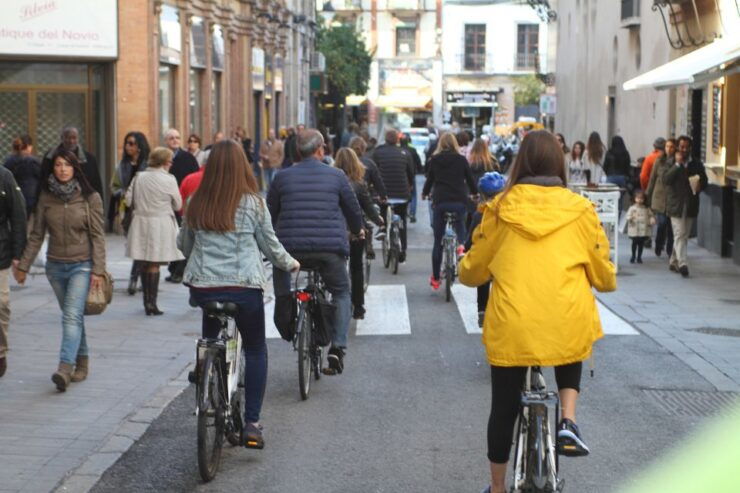 Seville: 1-Day Bike Rental - Rental Details