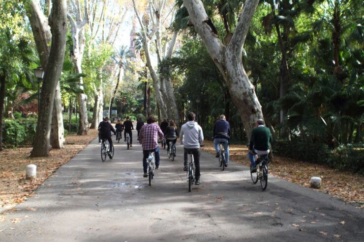 Seville: 1-Day Bike Rental - Customer Reviews