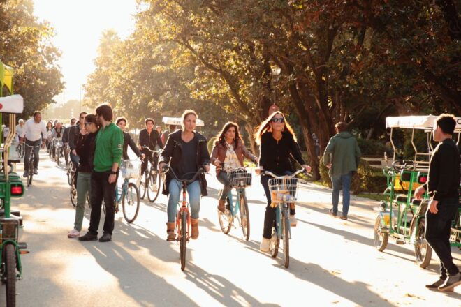 Seville: 1-Day Bike Rental - Visitor Testimonials