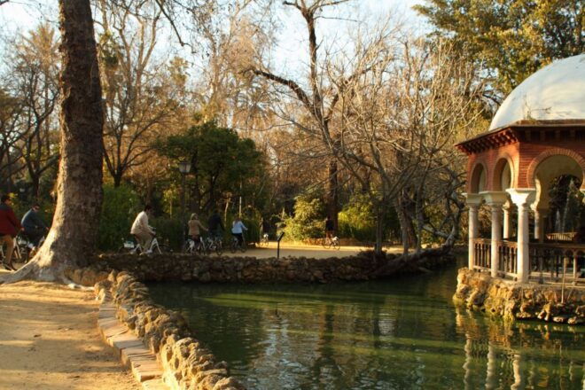 Seville: 1-Day Bike Rental - Recommendations