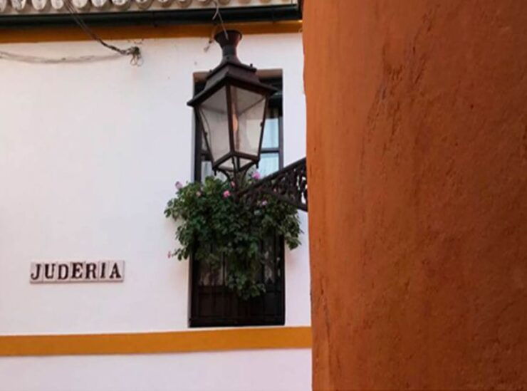 Seville: 1-Hour Walking Tour Barrio De Santa Cruz - Accessibility and Meeting Point