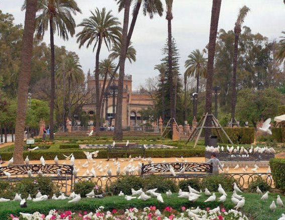 Seville: 3-Hour Tour by Electric Bike - Booking Details