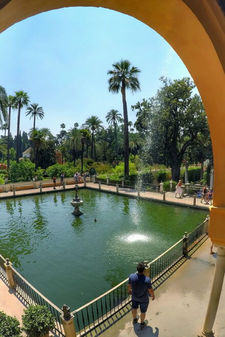 Seville: Alcazar Private Tour - Tour Highlights