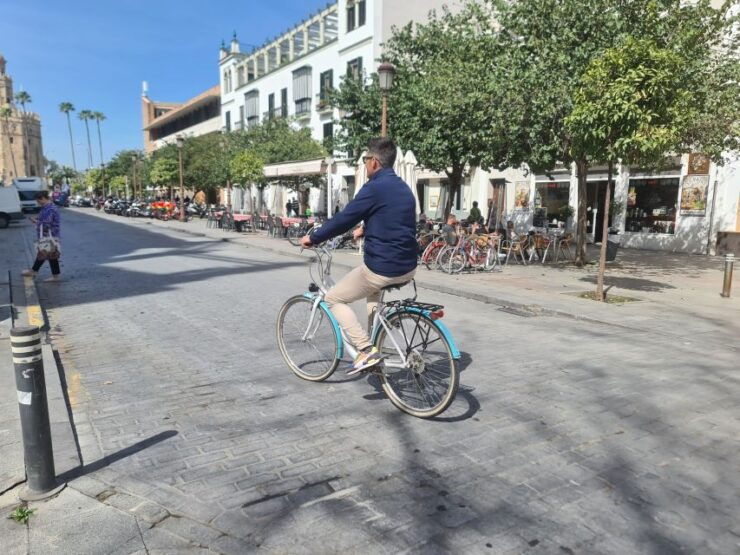 Seville: All Day Bike Rental - Language Options Available