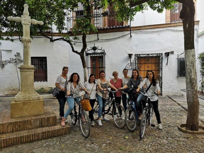 Seville: All Day Bike Rental - Highlights of the Activity