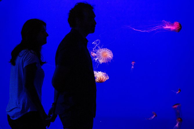 Seville Aquarium Admission Ticket - Questions and Assistance