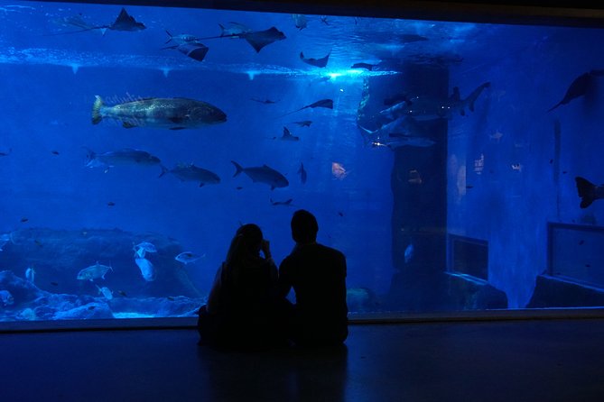 Seville Aquarium Admission Ticket - Pricing and Terms