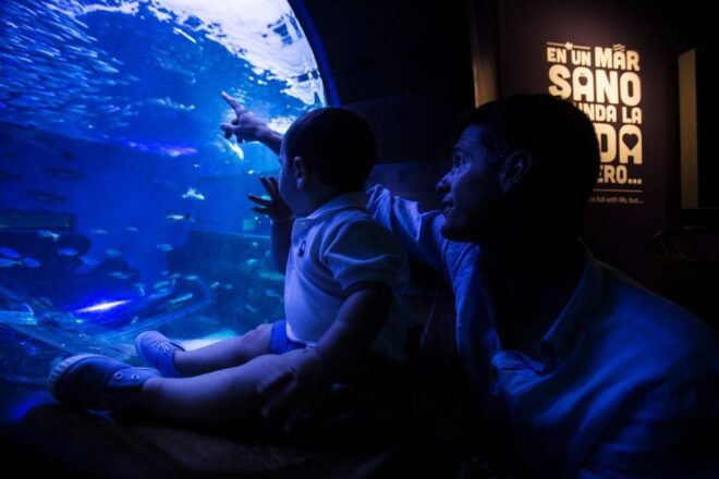 Seville Aquarium Admission Ticket - Description of Seville Aquarium
