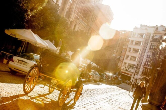 Seville: Authentic and Romantic Horse-Drawn Carriage Ride - Exploring Seville at a Slower Pace