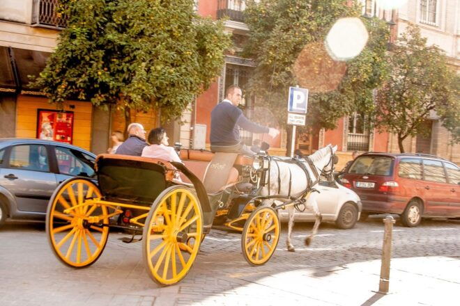 Seville: Authentic and Romantic Horse-Drawn Carriage Ride - Stylish Exploration of the Triana Neighborhood