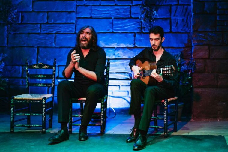 Seville: Baraka Sala Flamenca Show With Drink in Triana - Andalusian Aesthetics and Intimate Setting