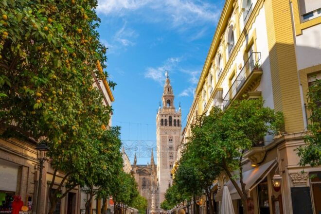 Seville: Barrio De Santa Cruz Small Group Walking Tour - The Sum Up