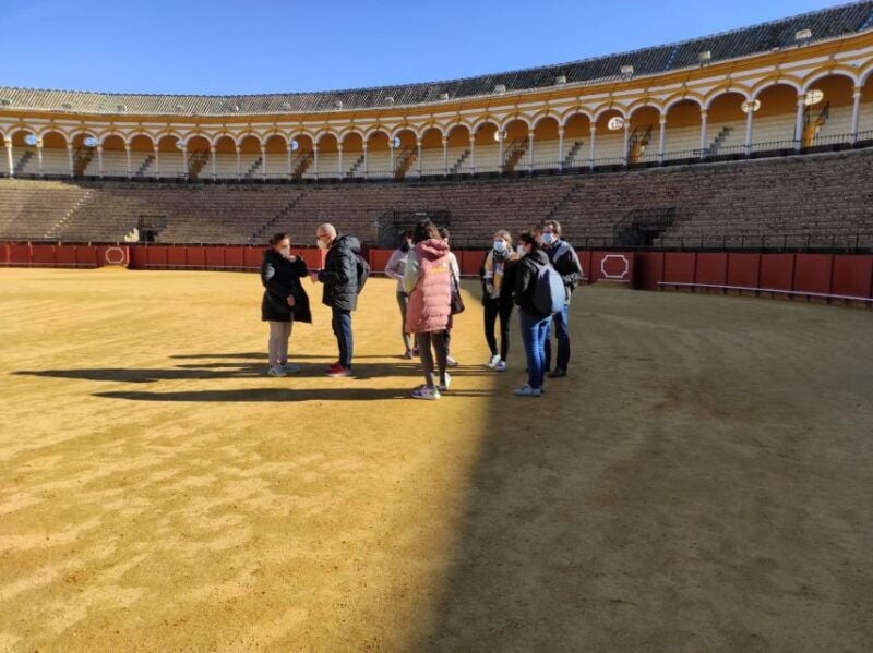 Seville: Bullring Guided Tour With a Skip-The-Line Ticket - Good To Know
