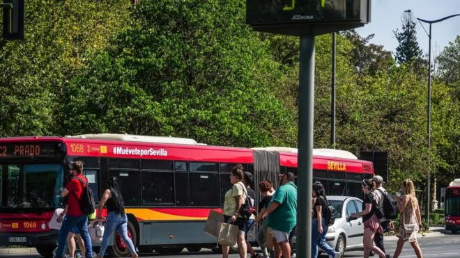 Seville: Bus Transfer Ticket Between Airport and City Center - Accessibility and Assistance
