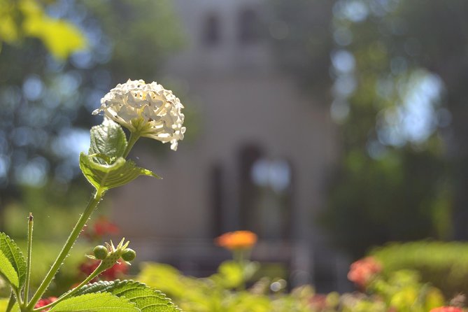 Seville Cartuja Monastery Private Visit - Cancellation Policy