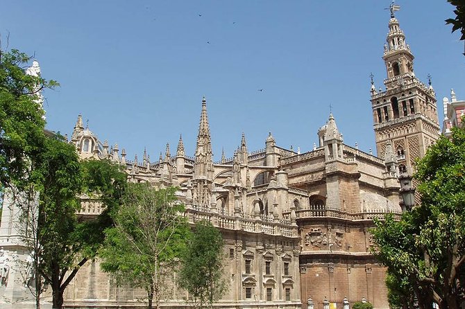 Seville Cathedral and Giralda Tower Guided Tour - Visitor Reviews and Experiences