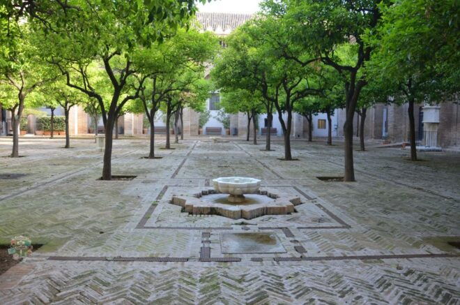 Seville: Cathedral, Giralda, and Royal Alcázar Guided Tour - Meeting Point and Additional Information