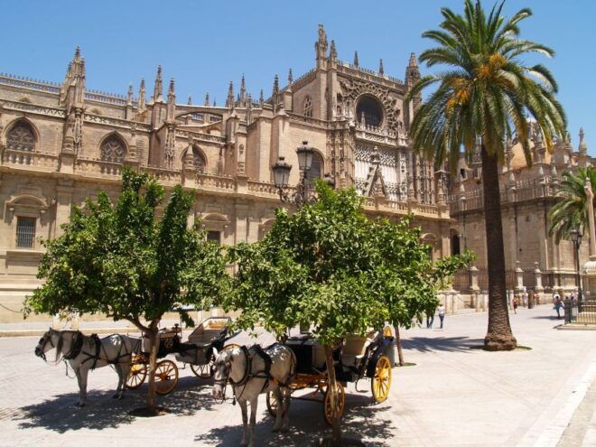 Seville: Cathedral & Giralda Guided Tour With Entry Tickets - Inclusions With the Tour