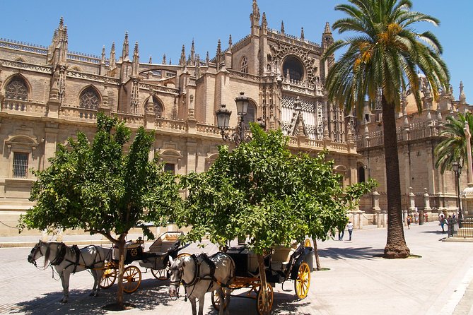 Seville: Cathedral & Giralda Guided Tour With Tickets - Reviews