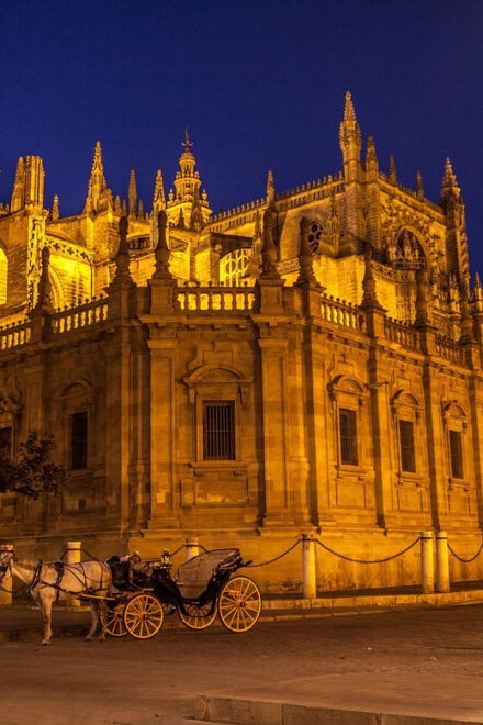Seville: Cathedral & Giralda Tower Guided Tour With Tickets - Highlights and Experience