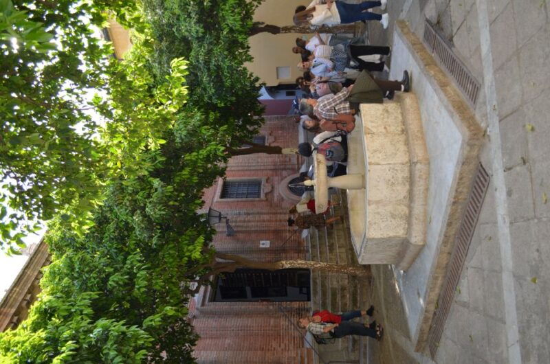 Seville: Cathedral Guided Tour W/ VR City Tour & Roof Lunch - Unveiling Sevilles Heritage Through Virtual Reality