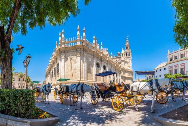 Seville Centre: Walking Tour With Audio Guide on App - Important Information