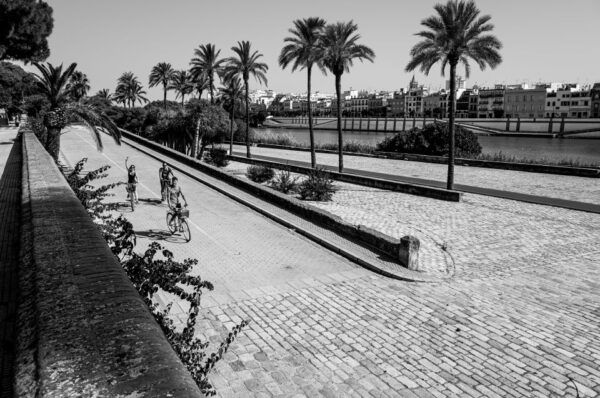Seville: City Sightseeing and Local Culture Bike Tour - The Sum Up
