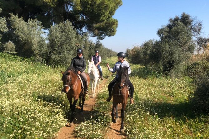 Seville City Sightseeing Motorbike Tour  - Granada - Sierra Nevada Experience