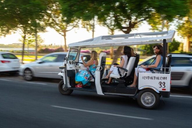 Seville: City Tour by Private Eco Tuk Tuk - Tour Description