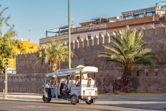 Seville: City Tour by Private Eco Tuk Tuk - Inclusions