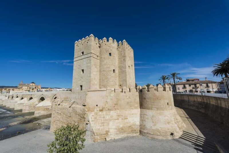 Seville: Cordoba Private & Fully Customizable Day Trip - Practical Aspects: What to Expect and What to Bring