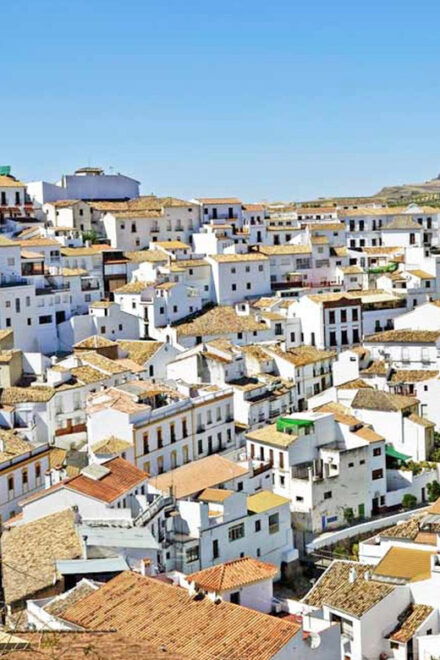 Seville: Day Trip to White Towns of Andalusia - Inclusions