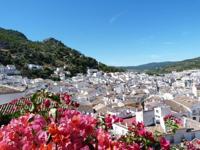Seville: Day Trip to White Towns of Andalusia - Tour Logistics