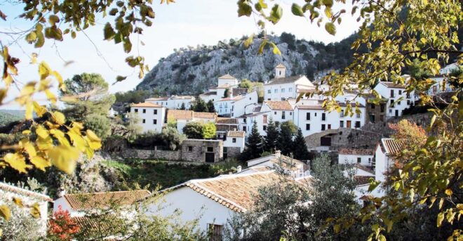 Seville: Day Trip to White Towns of Andalusia - Accessibility