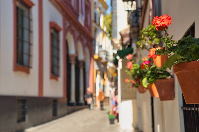 Seville Day Trip With Cathedral Entrance Direct From Malaga - Positive Experiences