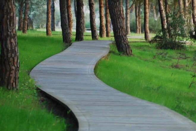 Seville: Doñana National Park Full-Day Tour - Important Information